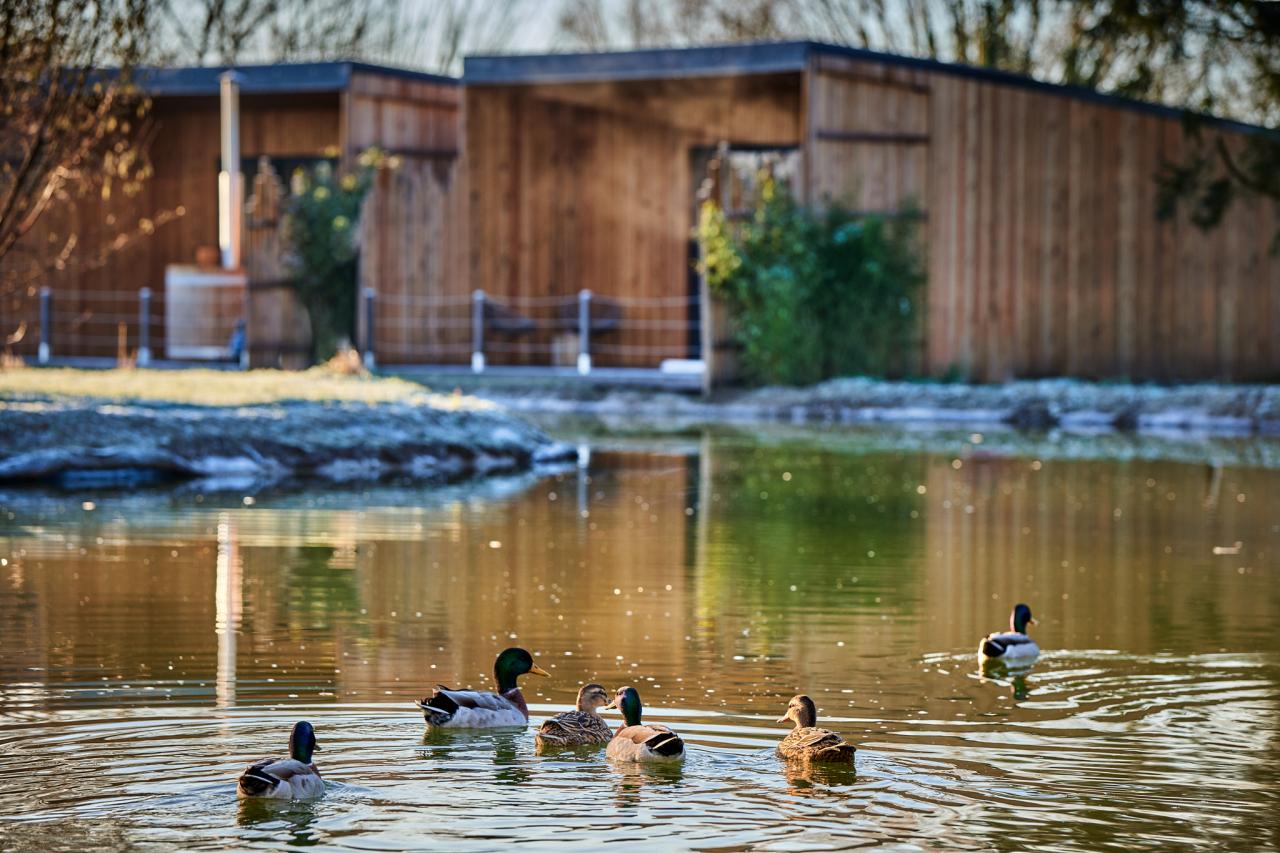 Le Domaine - Wambrechies